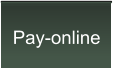 Pay-online